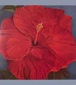 Ruby Red