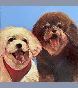 Pooches