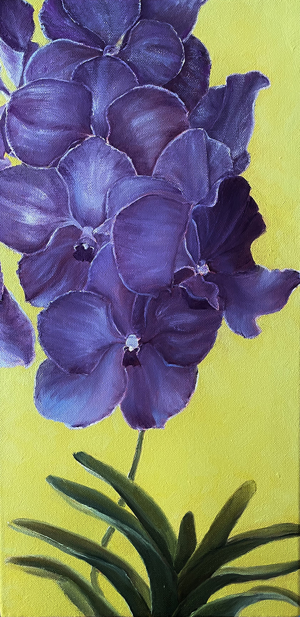 Blue Orchid